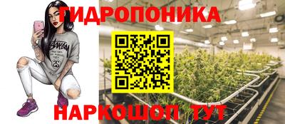mdpv Будённовск