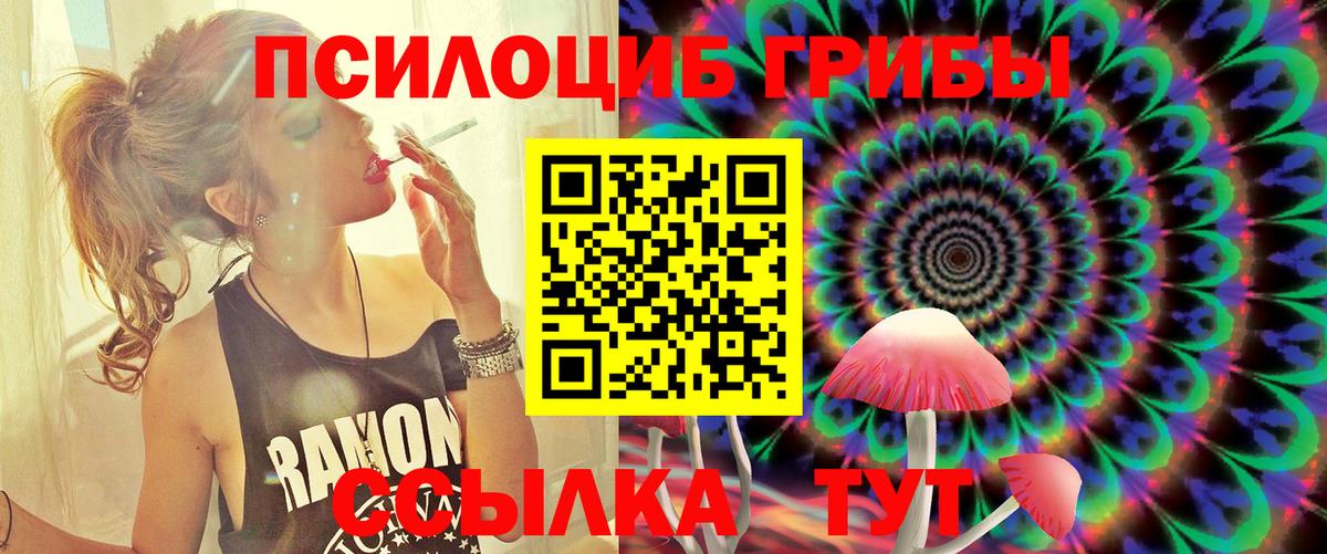 Галлюциногенные грибы GOLDEN TEACHER Коряжма