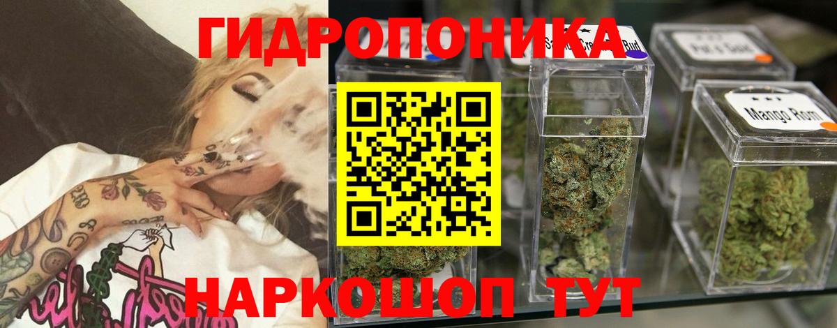 Бошки Шишки VHQ Коряжма